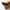 Lunettes de soleil Wastic - Surf and Sand